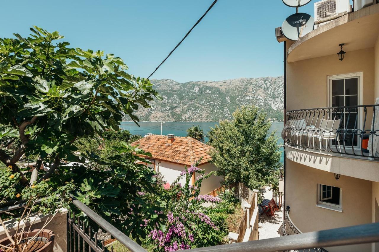 Apartments Cosovic Kotor Zewnętrze zdjęcie